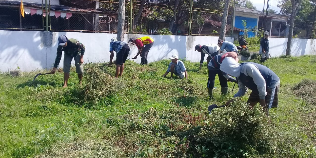 padat karya tunai desa