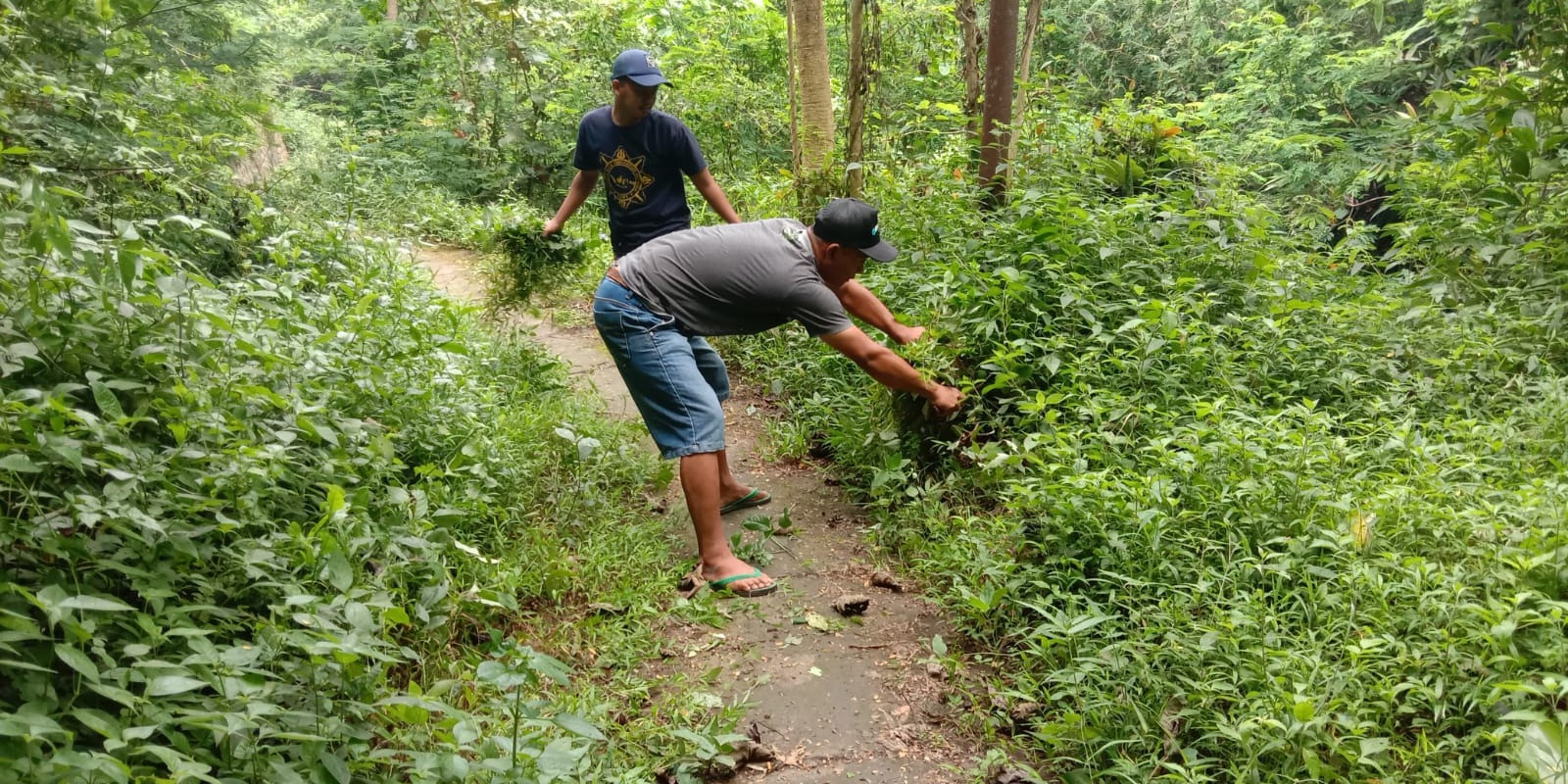 pekerjaan padat karya
